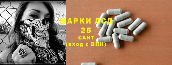 спиды Бородино