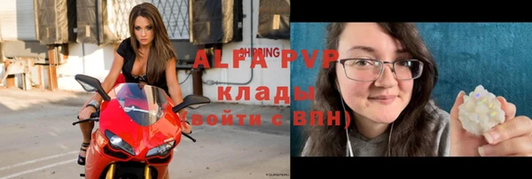 спиды Бородино