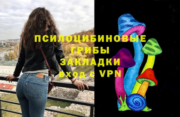 дживик Бронницы