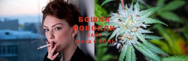 спиды Бородино
