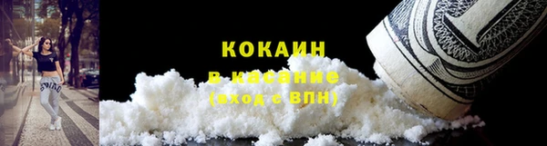 спиды Бородино