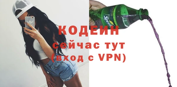 дживик Бронницы