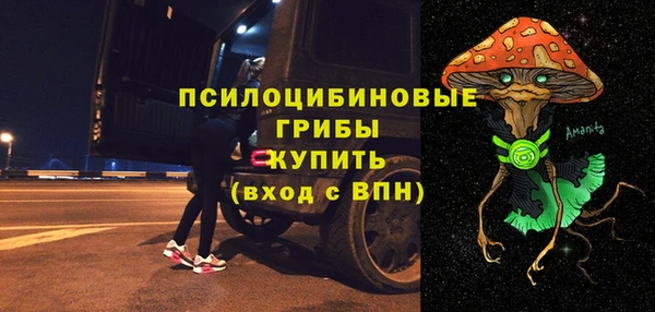 дживик Бронницы