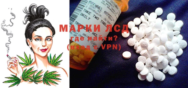 спиды Бородино