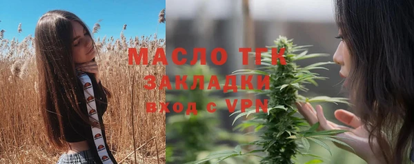 спиды Бородино
