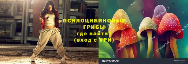 дживик Бронницы