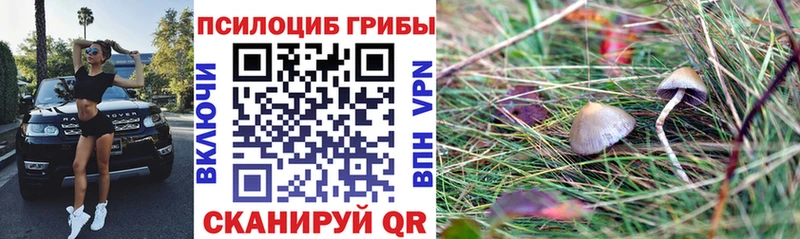 закладки Батайск ОМГ ОМГ ссылки дарк нет Telegram Псилоцибиновые грибы Psilocybe